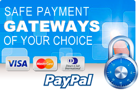 payment banner